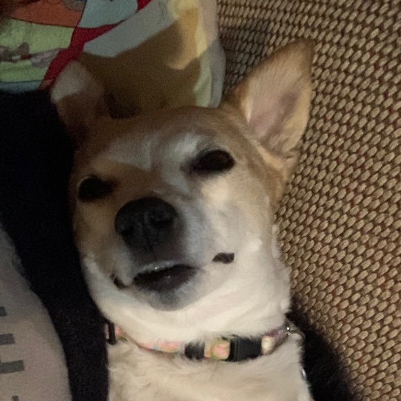 Meet your Posher, Dana - Picture 2 of 2